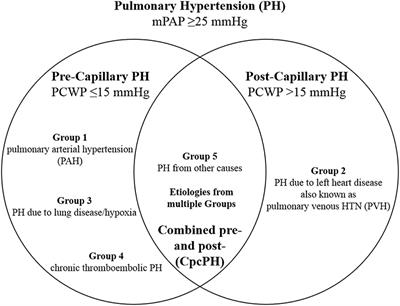 Non-invasive Multimodality Cardiovascular Imaging of the Right Heart and Pulmonary Circulation in Pulmonary Hypertension